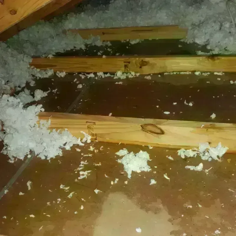 Attic Water Damage in Buena Vista, CA